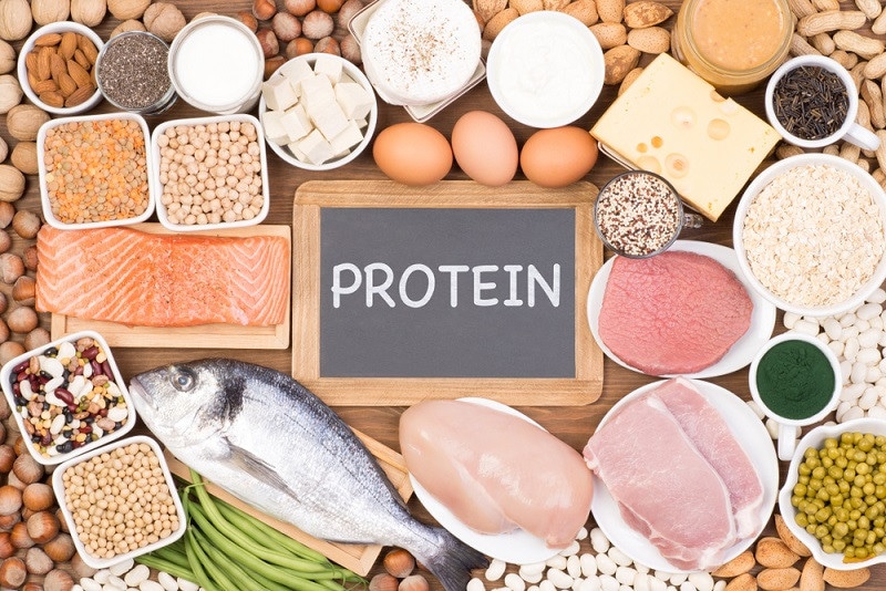 رژیم پروتئینی برای لاغری 